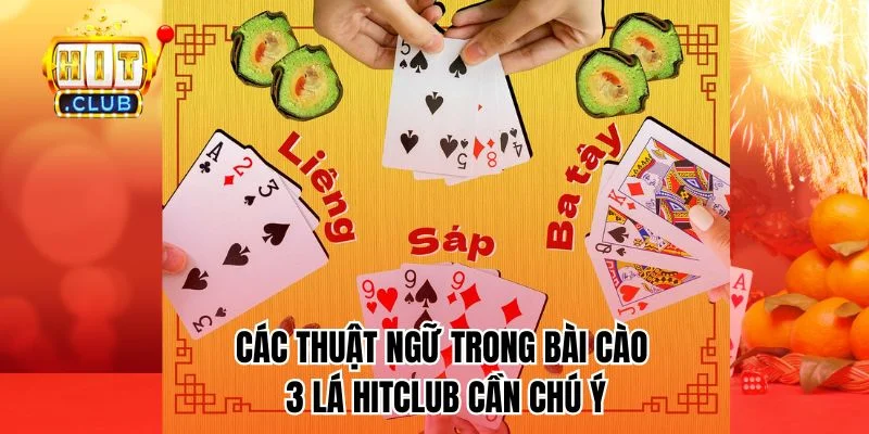 Các thuật ngữ trong bài cào 3 lá HitClub cần chú ý