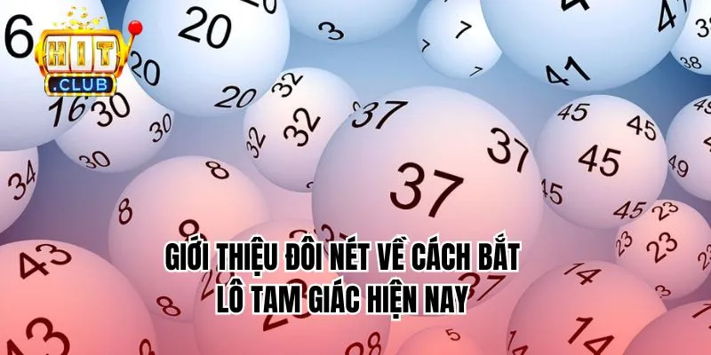 Giới thiệu đôi nét về cách bắt lô tam giác hiện nay