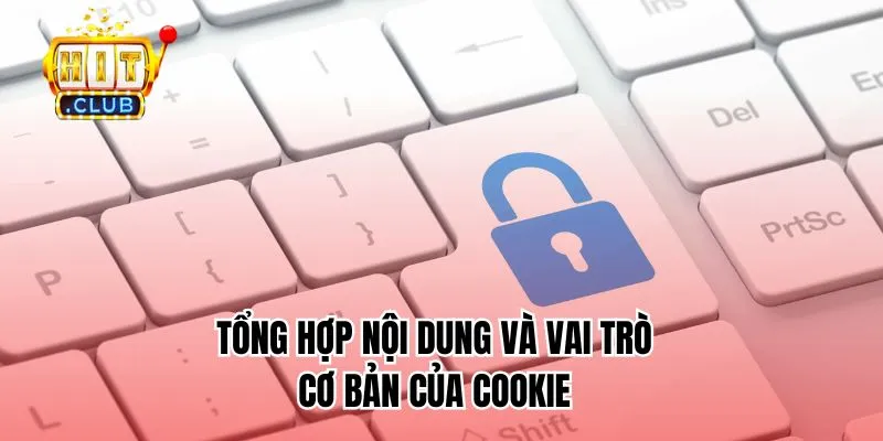 Tổng hợp nội dung và vai trò cơ bản của Cookie